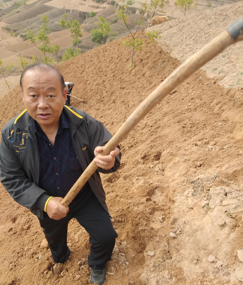 13262港澳龙门客栈