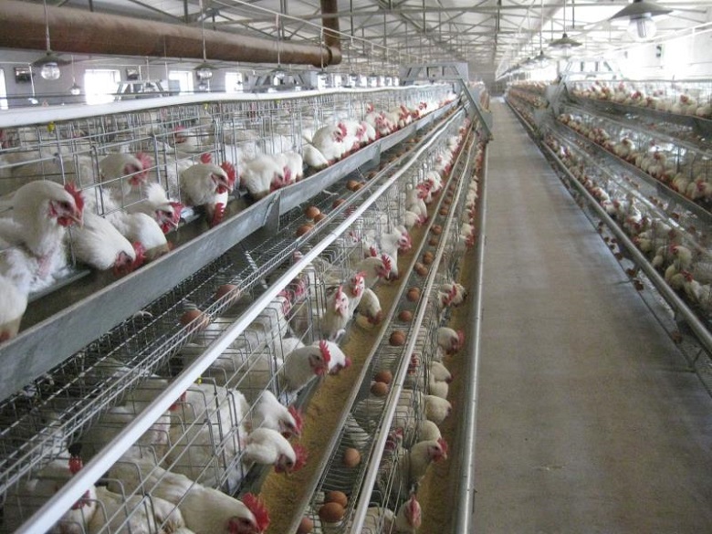 13262港澳龙门客栈