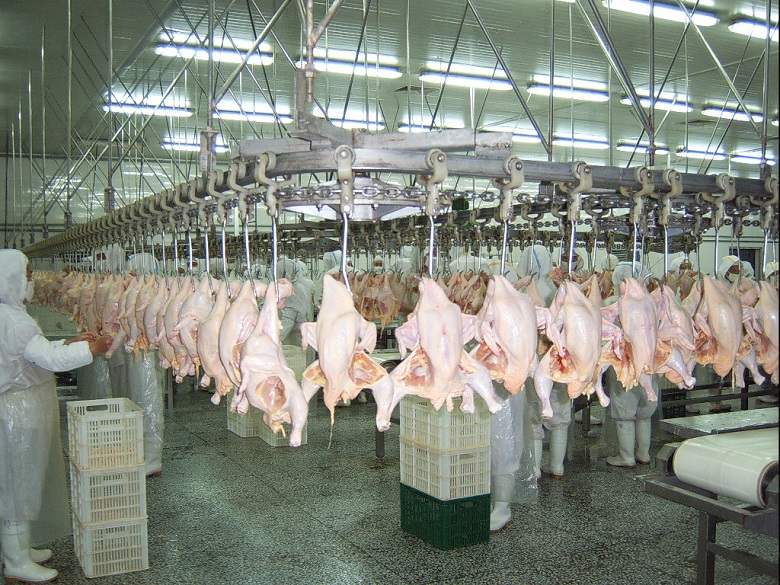 13262港澳龙门客栈