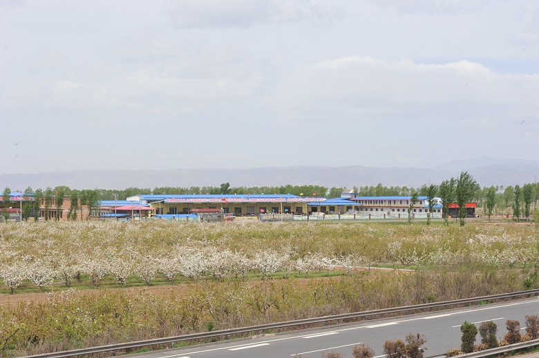 13262港澳龙门客栈