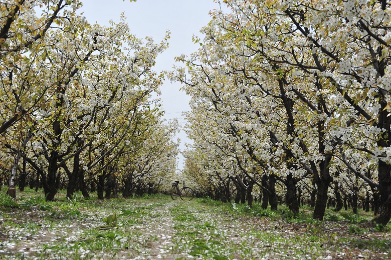 13262港澳龙门客栈