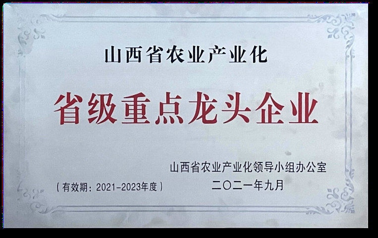 13262港澳龙门客栈