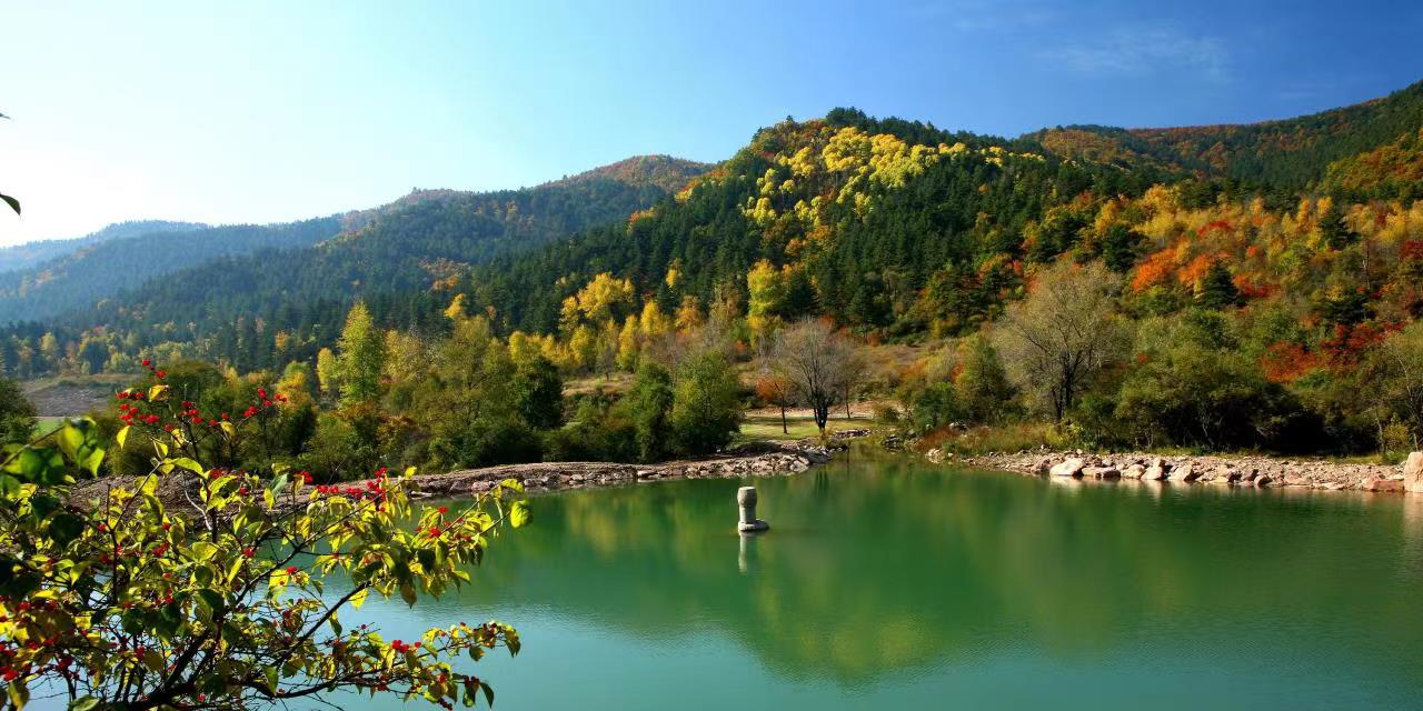 13262港澳龙门客栈