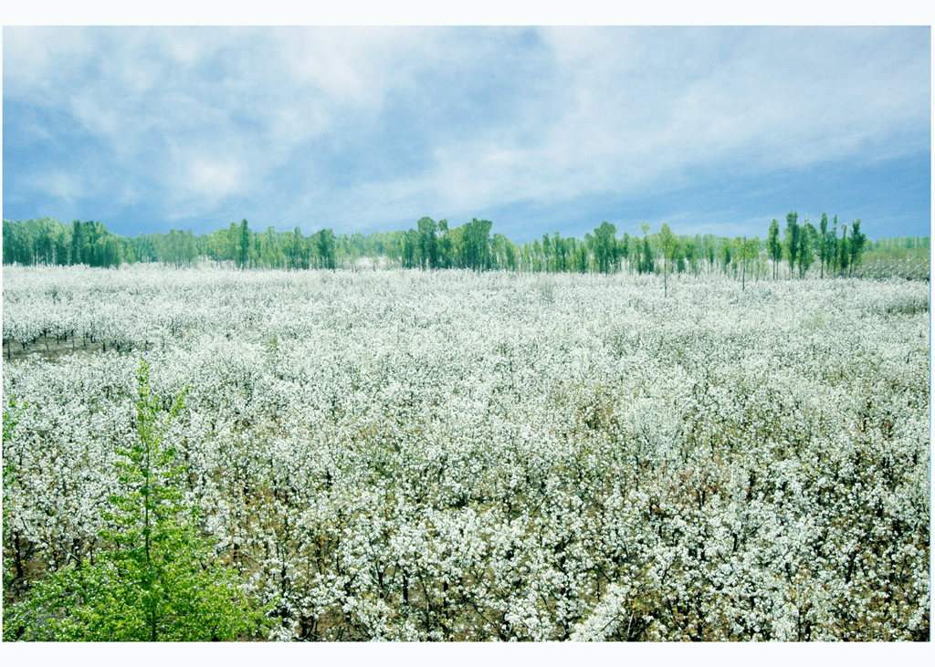 13262港澳龙门客栈