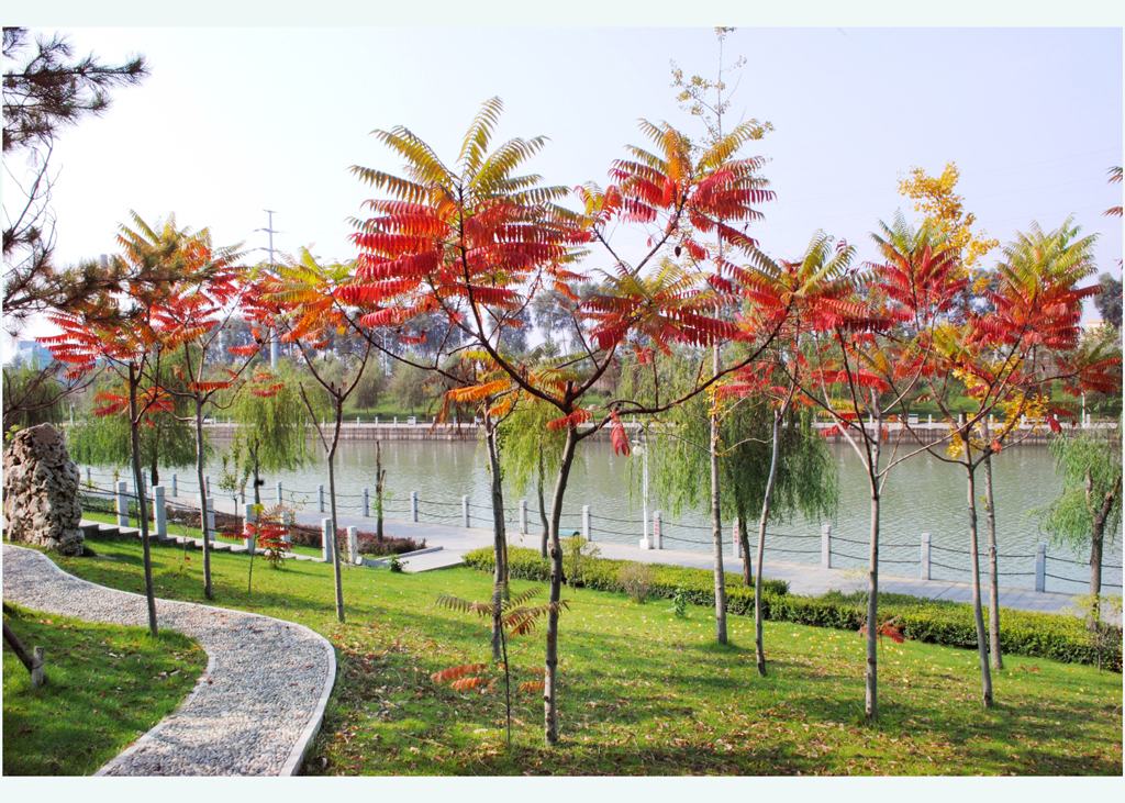 13262港澳龙门客栈