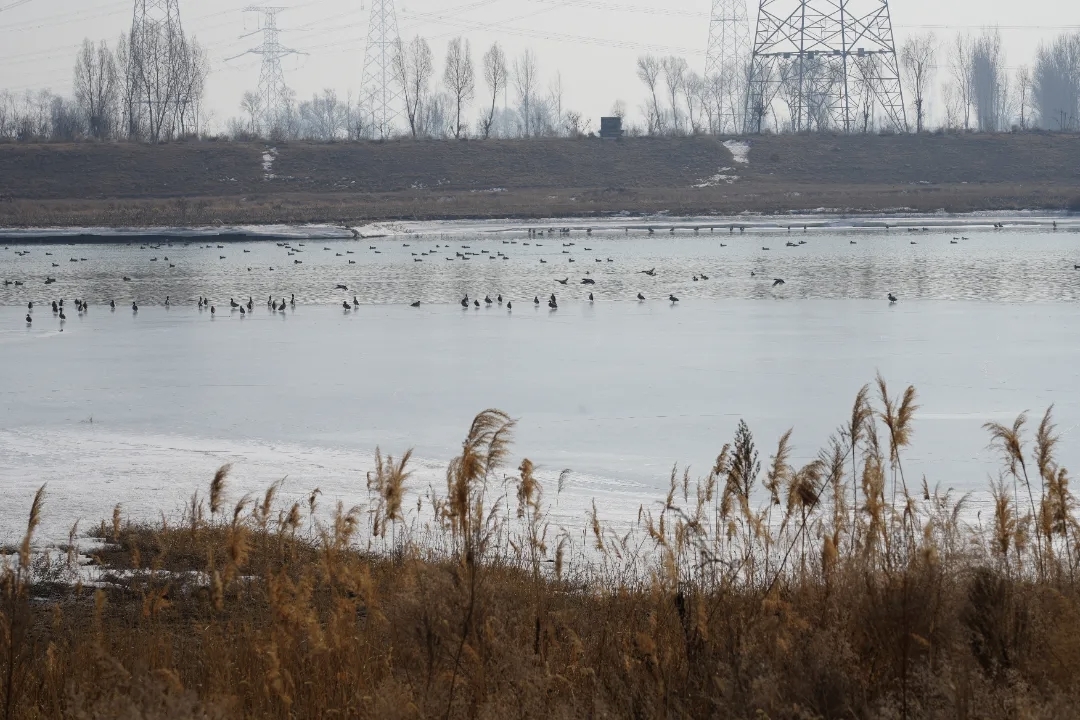 13262港澳龙门客栈