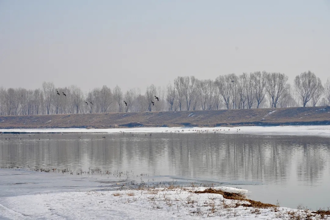 13262港澳龙门客栈