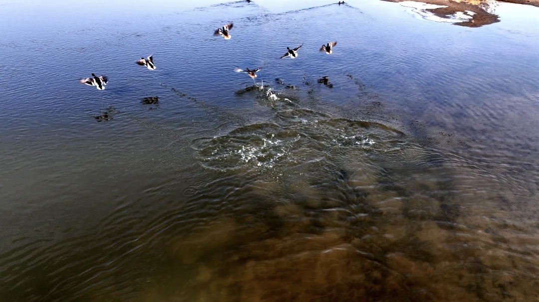 13262港澳龙门客栈