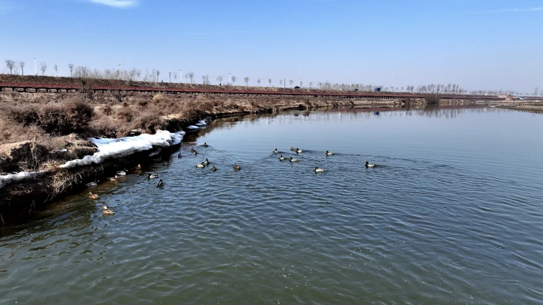 13262港澳龙门客栈
