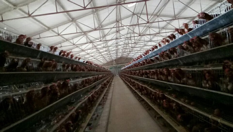 13262港澳龙门客栈