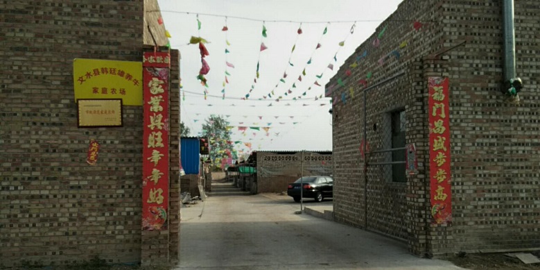 13262港澳龙门客栈