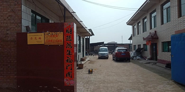 13262港澳龙门客栈