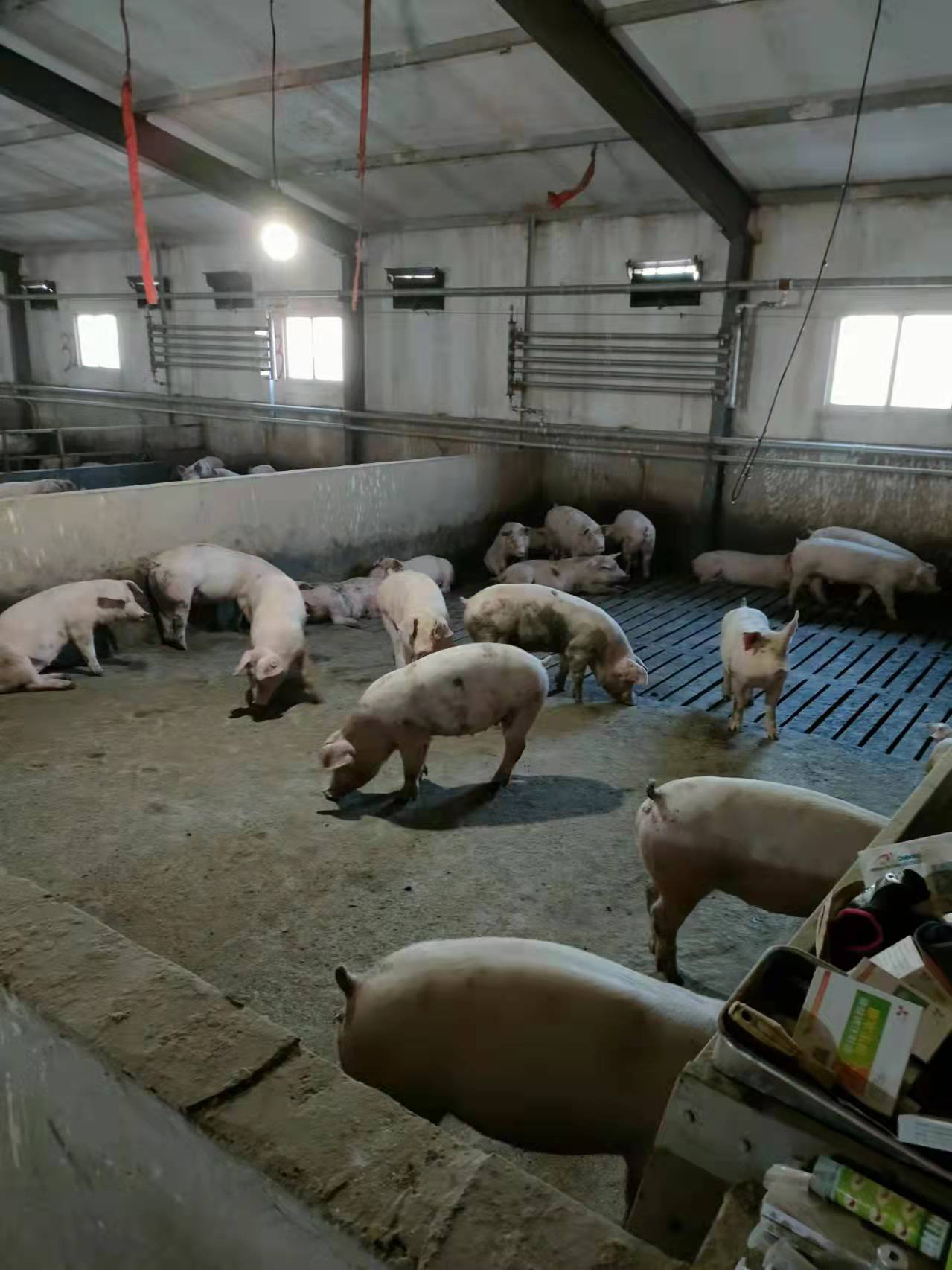 13262港澳龙门客栈