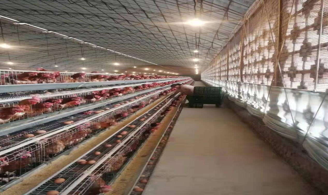 13262港澳龙门客栈