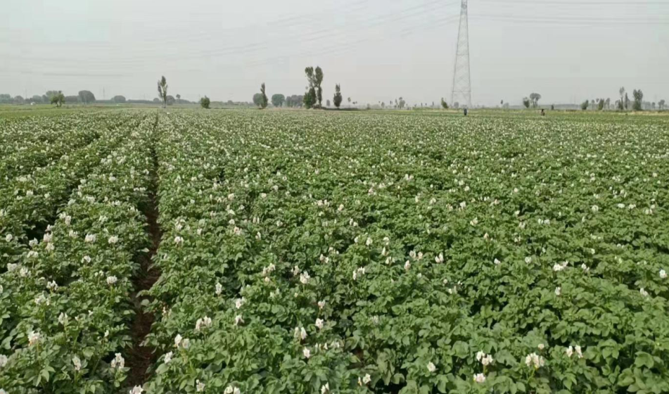 13262港澳龙门客栈