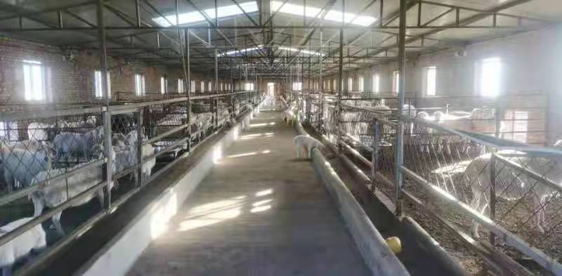 13262港澳龙门客栈