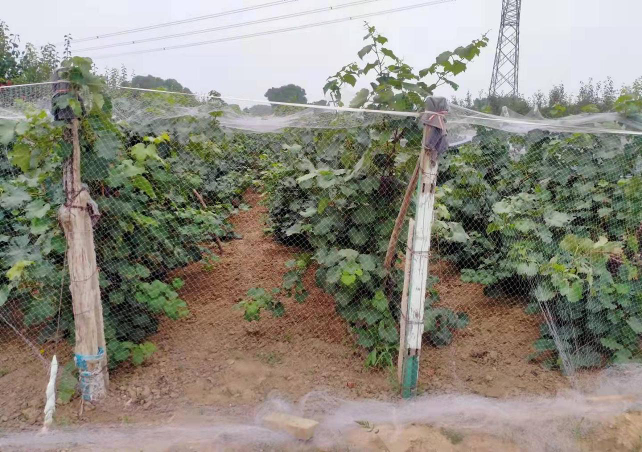 13262港澳龙门客栈