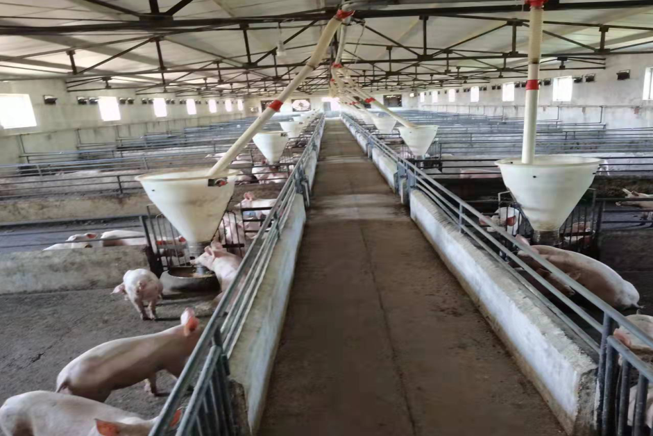 13262港澳龙门客栈