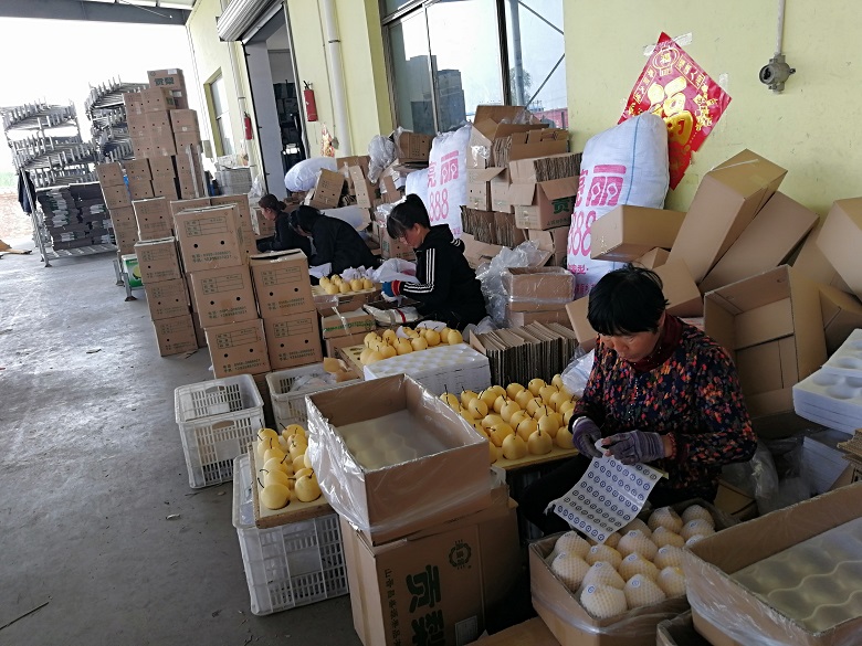 13262港澳龙门客栈