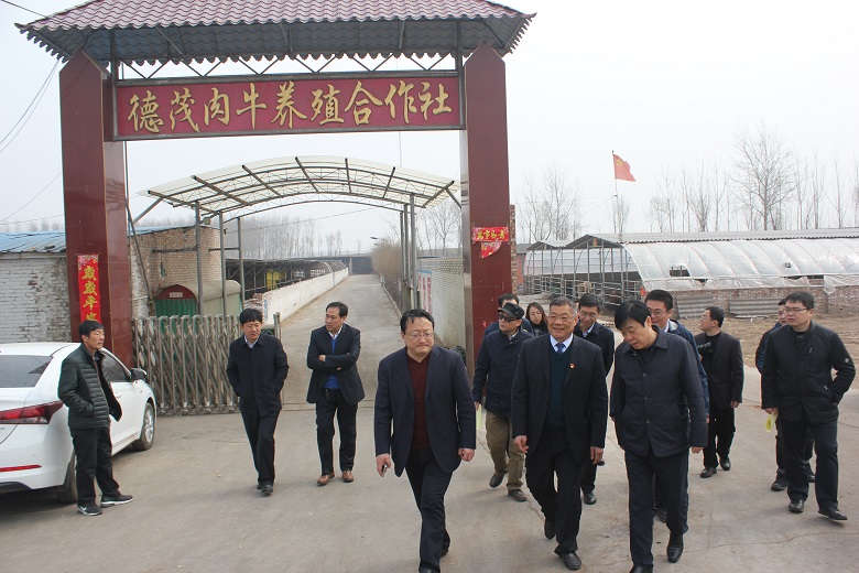 13262港澳龙门客栈