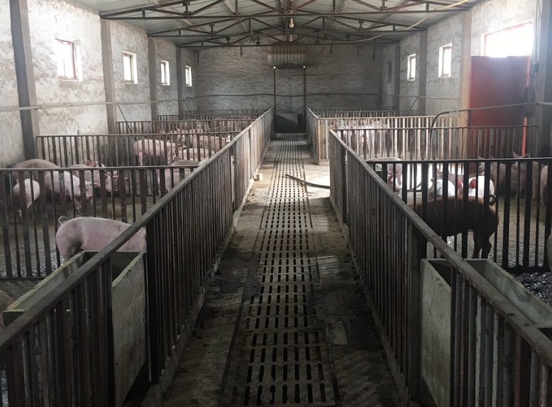 13262港澳龙门客栈