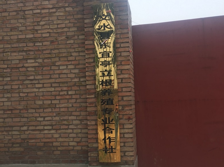 13262港澳龙门客栈