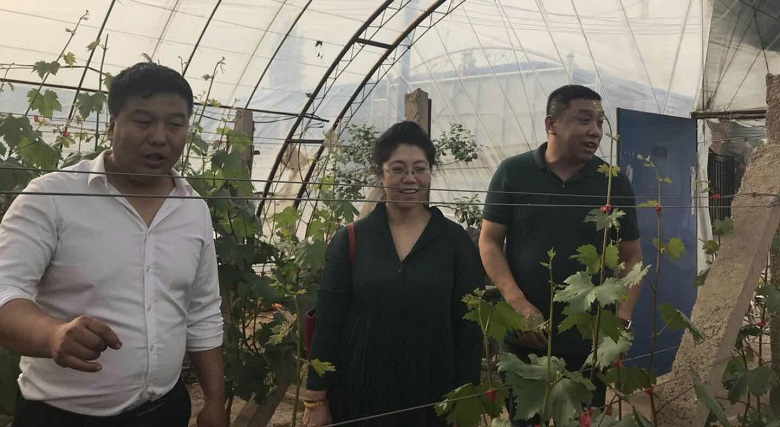 13262港澳龙门客栈