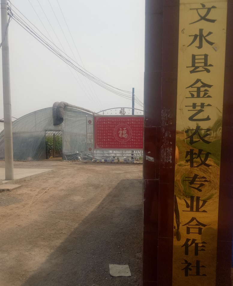 13262港澳龙门客栈