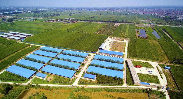 13262港澳龙门客栈