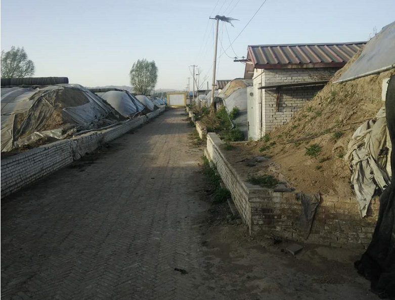 13262港澳龙门客栈