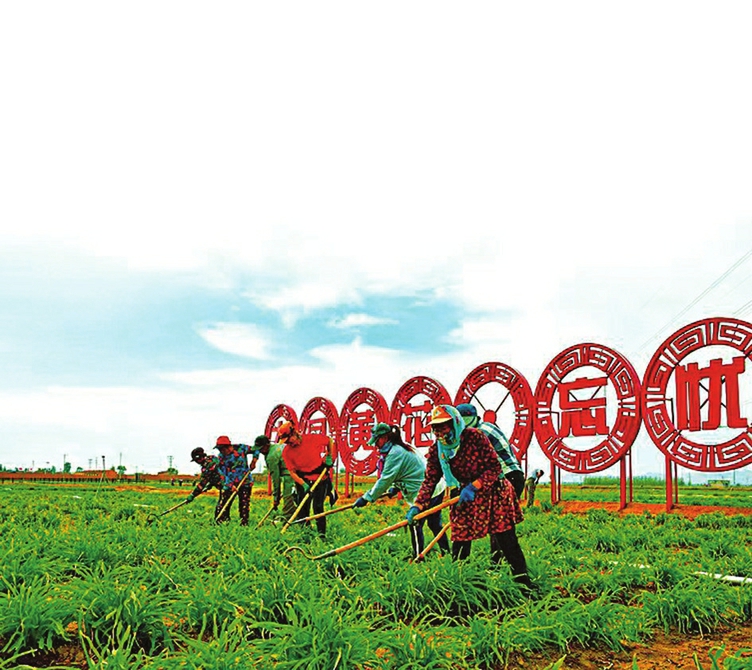 13262港澳龙门客栈
