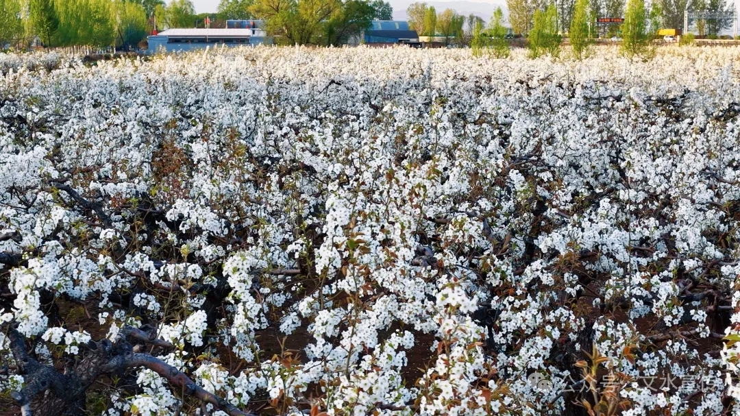 13262港澳龙门客栈