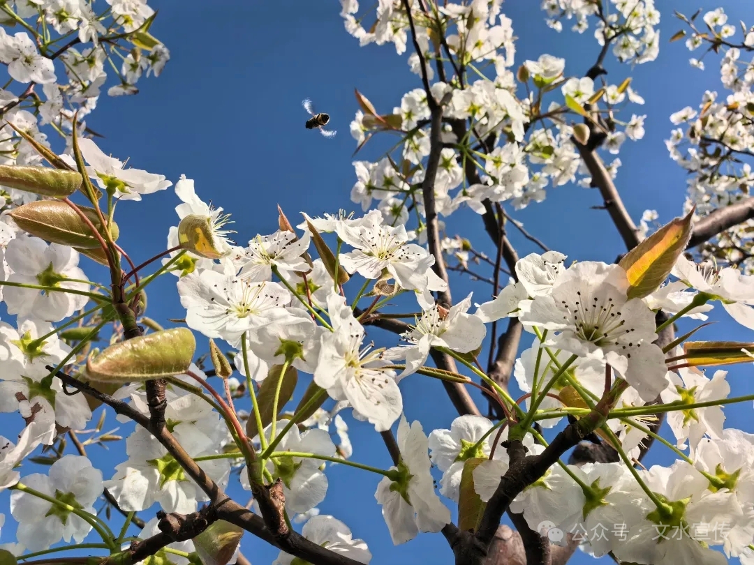 13262港澳龙门客栈